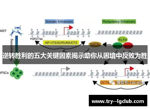 逆转胜利的五大关键因素揭示助你从困境中反败为胜