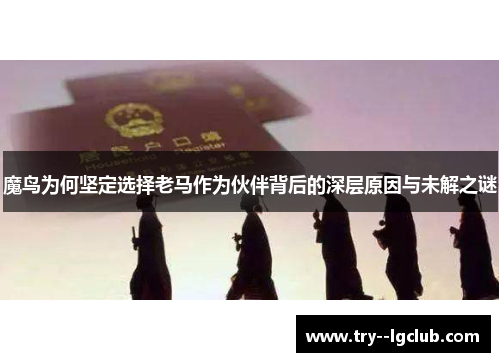魔鸟为何坚定选择老马作为伙伴背后的深层原因与未解之谜